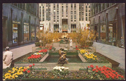 AK 078441 USA - New York City - Rockefeller Center - The Channel Gardens - Parks & Gardens