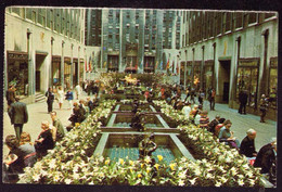 AK 078442 USA - New York City - Rockefeller Center - The Channel Gardens - Parques & Jardines