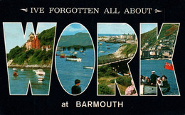 Barmouth - Cardiganshire