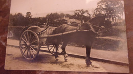 ♥️ ♥️  CARDIFF CARTE PHOTO ATTELAGE MILK DAILY  NORTH ROAD BLACKWEIR CARDIFF  CHEVAL MARCHAND LIVREUR DE LAIT - Otros & Sin Clasificación