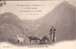 Suisse - Vaud - Ballaigues - Cpn - Troupeau De Chèvres Sur L'Alpe  Ziege Chevre Goat - Ballaigues