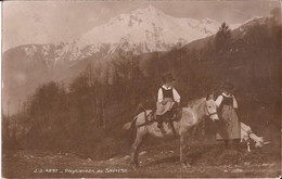 Suisse - Valais - Paysannes De Saviese Jj4297 Jullien Cheval  Ziege Chevre Goat - Savièse