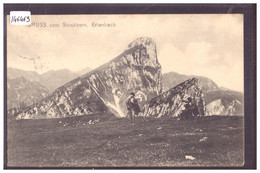 ERLENBACH - ALPINISME AU STOCKHORN - TB - Erlenbach Im Simmental