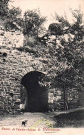 Ruines De L'Ancien Château De Petersheim - Lanaken