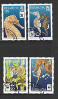 Bermuda 2010 WWF Seahorse Set Of 4 FU - Used Stamps