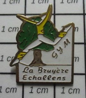 510e Pin's Pins / Beau Et Rare / SPORTS / GYMNASTIQUE CLUB LA BRUYERE ECHALLENS SUISSE CANTON DE VAUD - Gymnastiek