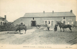 LOIRET  ARTENAY  Intérieur De La Ferme - Artenay