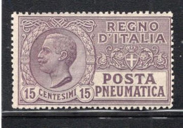 1923 - Regno -  Italia - Italy -  Sass. N. POSTA PN. 2  LH -  (W02..) - Pneumatic Mail