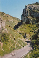 Postcard The Gorge Cheddar Somerset My Ref B25645 - Cheddar