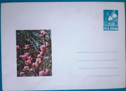 Envelope ROMANIA 1969 Plants Flowers ,envelope With Fixed Brand, Flower Snowdrop - Storia Postale