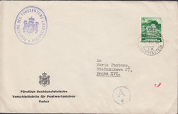 1944. LIECHTENSTEIN. 5 Rp Officials With Overprint REGIERUNGS DIENSTSACHE Solo On Cover... (Michel Dienst 20) - JF432838 - Service