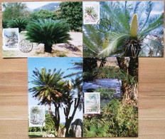 China Maximum Card,1996-7 Cycas,4 Pcs - Cartes-maximum