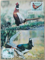 China Maximum Card,1997 MC-30 Rare Birds,2 Pcs - Cartes-maximum