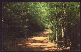 AK 078497 USA - New York - Catskill Mts. - Tannersville - Trail In Elka Park - Catskills