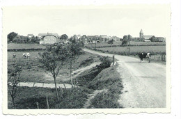 Naômé ( Bièvre ) - Pont Route Sur Ruisseau La Goutelle - Bievre