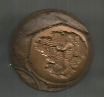 Médaille, PREMIER PAS SUR LA LUNE. 21 VII 1969, 2h56, Neil Amstrong , Graveur REVOL,187.5 Gr.,2 Scans, Frais Fr 6.15 E - Professionals / Firms