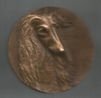 Médaille, Animaux , Chien, LEVRIER AFGHAN , Graveur LUZANOWSKY, 186 Gr., BRONZE, 2 Scans, Frais Fr 6.15 E - Autres & Non Classés