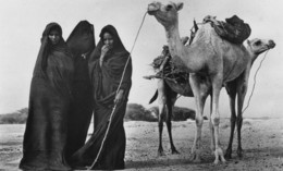 MAURITANIE - Femmes Maures à La Corvée De Bois - Belle Carte - CPSM PF - Mauretanien