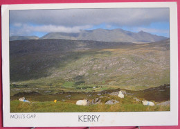 Visuel Très Peu Courant - Irlande - Moll's Gap - R/verso - Kerry