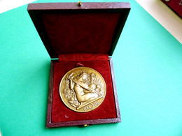 Médaille MONNAIE DE PARIS LA FLORE En Bronze Doré - Other