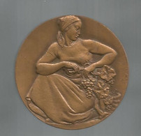 Médaille , VINS DE FRANCE, Graveur A. GUZMAN, Bronze,  Dia. 60 Mm, 110 Gr.,2 Scans, Frais Fr 6.15 E - Other
