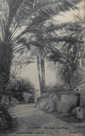 CPA. - TUNISIE - GABES - Une Route Dans L'Oasis - Ecrite Et Datée 1916 - TBE - Túnez