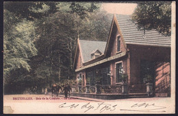 +++ CPA - BRUSSEL - BRUXELLES - Bois De La Cambre - Laiterie - Couleur 1905  // - Forêts, Parcs, Jardins