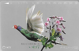 CARTE-MAGNETIQUE-JAPON-GALLINACE-FAISAN ANNELE-Utilisé-TBE- - Gallinaceans & Pheasants