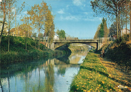 93 Tremblay Les Gonesse Tremblay En France CPM Le Canal De L' Ourcq - Tremblay En France