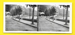 Vues Stéréos MENTON Promenade Du Midi - Stereo-Photographie