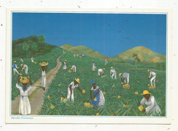 Cp , Images Des ANTILLES , Illustrateur Emilie ,RECOLTE DES ANANAS , Agriculture ,culture, Vierge - Sonstige & Ohne Zuordnung