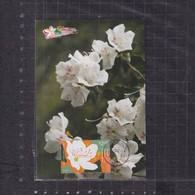 [Carte Maximum / Maximum Card /  Maximumkarte] Hong Kong 2021 | Domestic Flowers - Azalea, Datestamp With Maonshan - Maximumkaarten