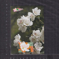 [Carte Maximum / Maximum Card /  Maximumkarte] Hong Kong 2021 | Domestic Flowers - Azalea, Datestamp With Maonshan - Tarjetas – Máxima
