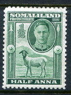 Somaliland 1942 KGVI - Full-face Portrait - Sheep, Kudu & Map Issue - ½a Green HM (SG 105) - Somalilandia (Protectorado ...-1959)