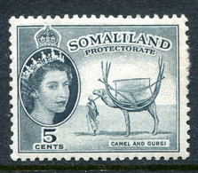 Somaliland 1953-58 QEII Pictorials - 5c Camel & Gurgi HHM (SG 137) - Paper Adhesion - Somaliland (Herrschaft ...-1959)