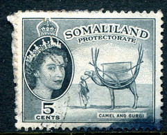 Somaliland 1953-58 QEII Pictorials - 5c Camel & Gurgi Used (SG 137) - Somaliland (Protectoraat ...-1959)