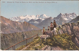 Suisse - Vaud - Glacier Du Trient Et Dent Du Midi Vus Des Rochers De Naye Colorisee Ziegen Chevres Goat - Roche