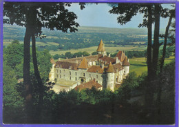 Carte Postale 58. Bazoches Du Morvand  Le Chateau  Très Beau Plan - Bazoches