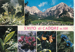 CARTOLINA  S.VITO DI CADORE M1011,BELLUNO,VENETO,MONTAGNA,LA NEVE,SCIARE,VACANZA,RIFUGIO,BELLA ITALIA,VIAGGIATA 1972 - Belluno