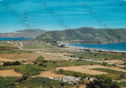 CARTOLINA  LACONA,LIVORNO,TOSCANA,ISOLA D"ELBA,MARE,ESTATE,VACANZA.SPIAGGIA,BARCHE A VELA,BELLA ITALIA,VIAGGIATA 1960 - Livorno