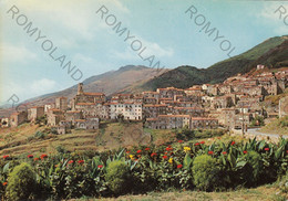 CARTOLINA  RIO ELBA,LIVORNO,TOSCANA,ISOLA D"ELBA,PANORAMA,VACANZA.SPIAGGIA,BARCHE A VELA,BELLA ITALIA,VIAGGIATA 1970 - Livorno