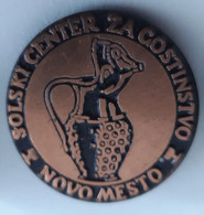 Solski Center Za Gostinstvo High School Novo Mesto Slovenia Pin - Administrations