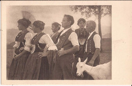 Suisse - C -  Appenzell - Appenzeller Volksleben - Costume  Ziegen Chevres Goat - AI Appenzell Inner-Rhodes