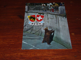 53393                   BERN  BERNE, DER BÄRENGRABEN - Bears