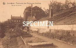 Pensionnat Des Religieuses Ursulines - Vue Sur Les Serres - Zaventem - Zaventem