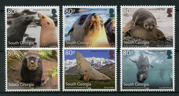 South Georgia & South Sandwich Islands 2018 MNH Marine Animals Stamps Antarctic Fur Seals 6v Set - Géorgie Du Sud