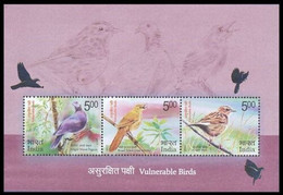 INDIA 2017 Vulnerable Birds Stamps MINIATURE SHEET MS MNH - Passeri