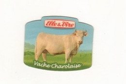 Elle&Vire   Vache Charolaise - Publicidad