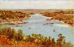 ARTIST - SALMON ART 4067 - SALCOMBE ESTUARY FROM BOLT HEAD By CARRUTHERS - Quinton, AR