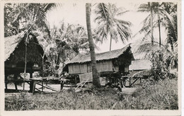 Real Photo Papua New Guinea  Photo R.V. Oldham Native Huts And - Papua Nueva Guinea